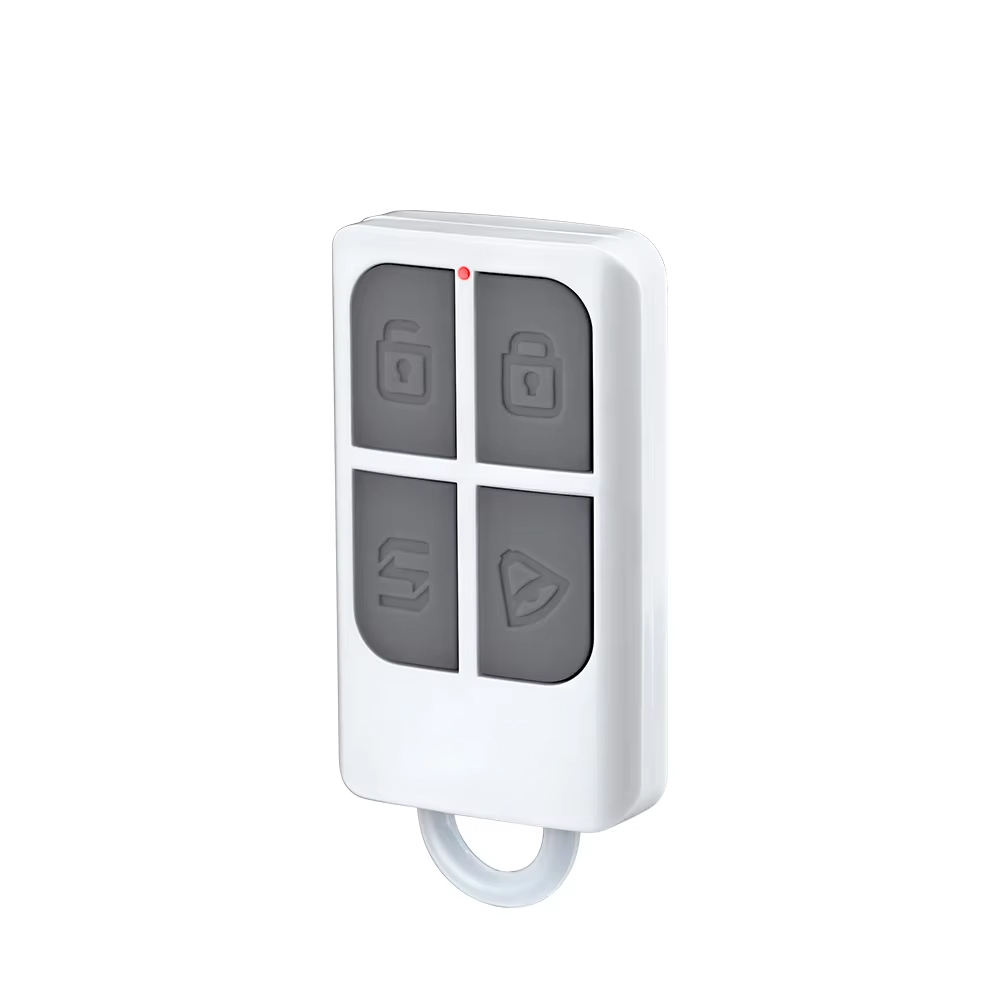 RC531 Wireless Portable Remote - Home Security Systems recension och pris