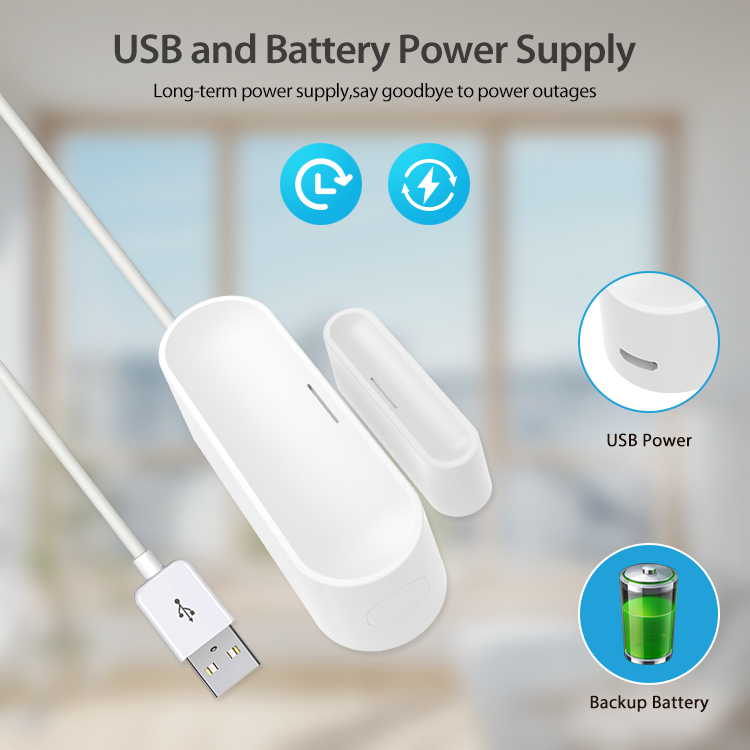 Tuya Smart Door Window Sensor  - Home Security Battery recension och pris