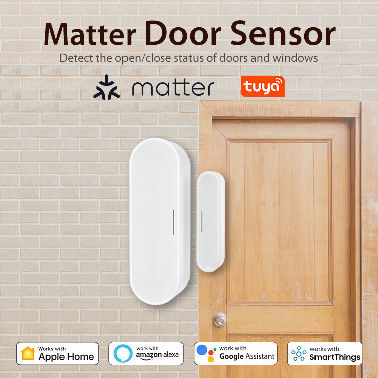 Tuya Smart Door Window Sensor  - Home Security Battery recension och pris