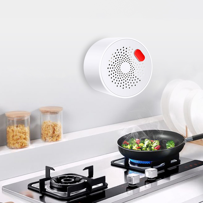 Tuya Smart Home Wifi Natural G - Home Security Business recension och pris