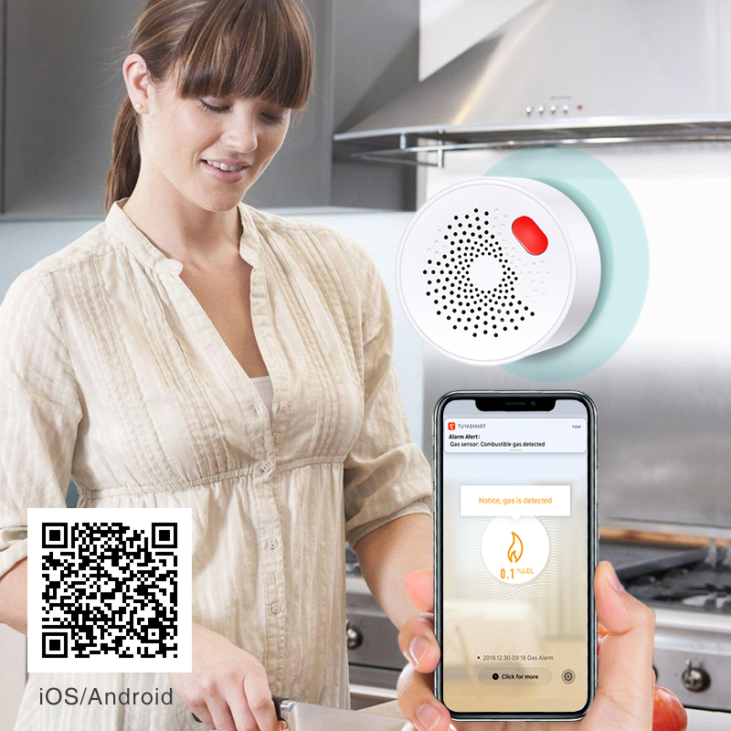 Tuya Smart Home Wifi Natural G - Home Security Business recension och pris